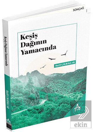 Keşiş Dağının Yamacında