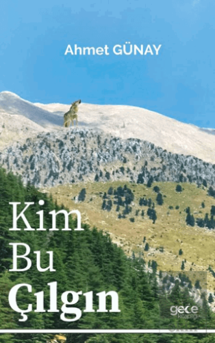 Kim Bu Çılgın