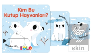 Kim Bu Kutup Hayvanları?