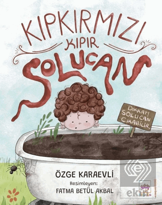 Kıpkırmızı Kıpır Solucan