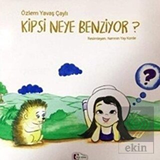 Kipsi Neye Benziyor?