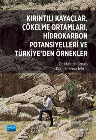 Kırıntılı Kayaçlar, Çökelme Ortamları, Hidrokarbon