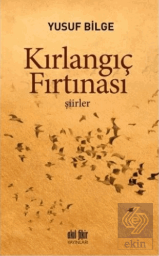 Kırlangıç Fırtınası