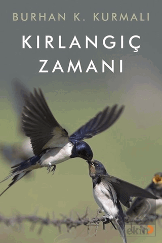 Kırlangıç Zamanı