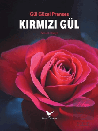 Kırmızı Gül