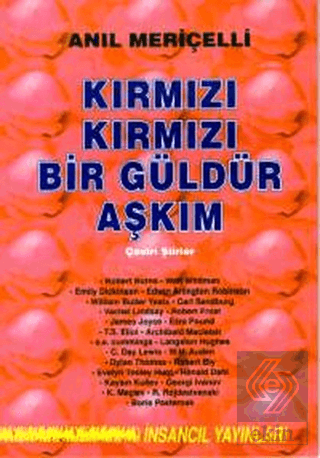 Kırmızı Kırmızı Bir Güldür Aşkım Çeviri Şiirler