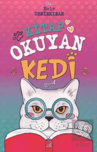 Kitap Okuyan Kedi