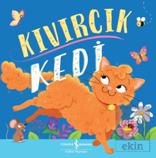 Kıvırcık Kedi