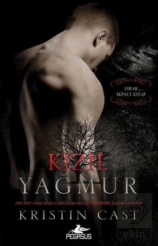 Kızıl Yağmur - Firar 2.Kitap