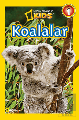 Koalalar - Seviye 1