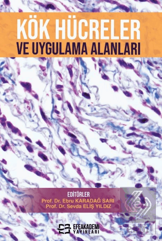 Kök Hücreler ve Uygulama Alanları