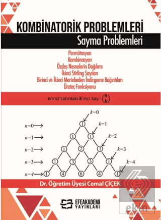 Kombinatorik Problemleri
