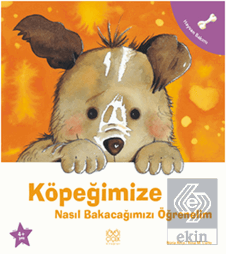 Köpeğimize Nasıl Bakacağımızı Öğrenelim