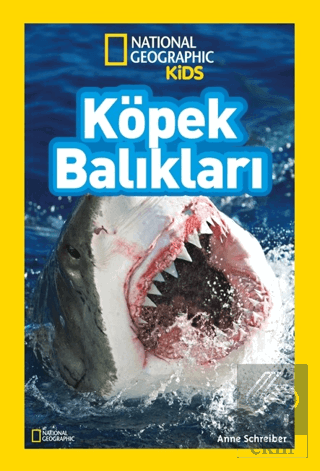 Köpek Balıkları - National Geographic Kids