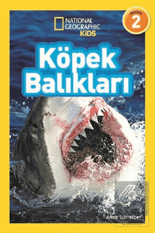 Köpek Balıkları (Seviye 2)