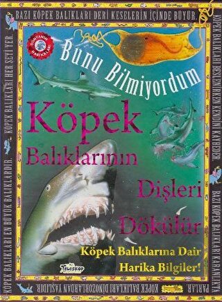 Köpek Balıklarının Dişleri Dökülür - Bunu Bilmiyor