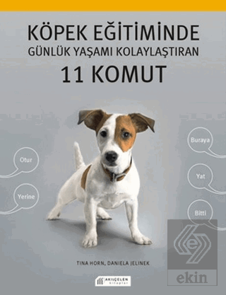 Köpek Eğitiminde Günlük Yaşamı Kolaylaştıran 11 Ko