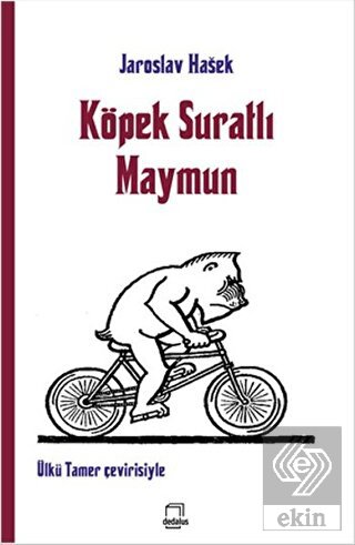 Köpek Suratlı Maymun