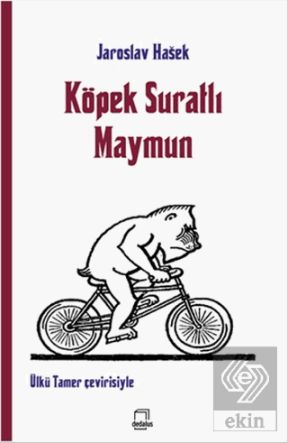 Köpek Suratlı Maymun