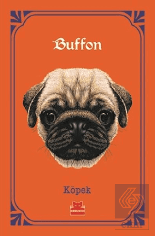 Köpek