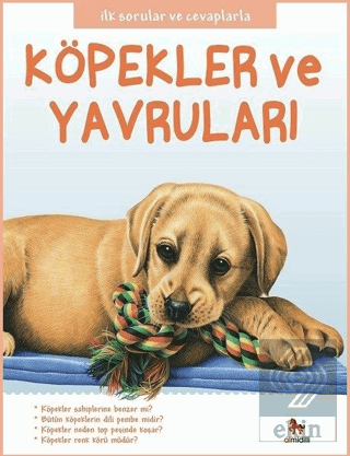 Köpekler ve Yavruları - İlk Sorular ve Cevaplarla