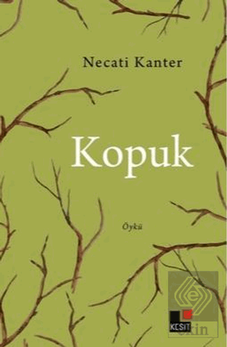 Kopuk