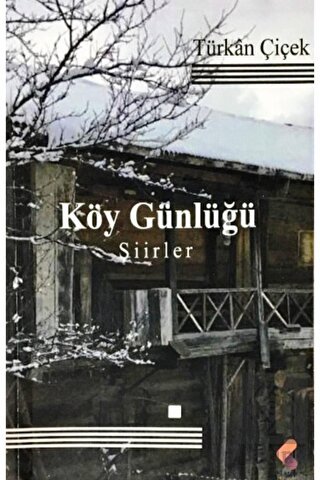 Köy Günlüğü