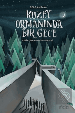 Kuzey Ormanında Bir Gece