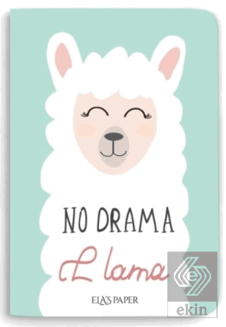 Lama Notebook Su Yeşili - Defter