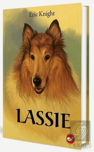 Lassie