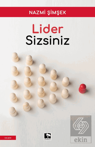 Lider Sizsiniz