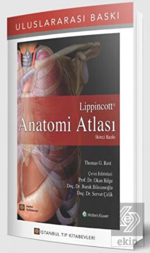 Lippincott Anatomi Atlası