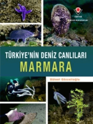 Marmara - Türkiye'nin Deniz Canlıları