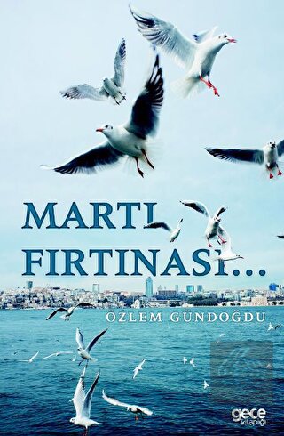 Martı Fırtınası