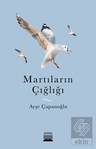 Martıların Çığlığı