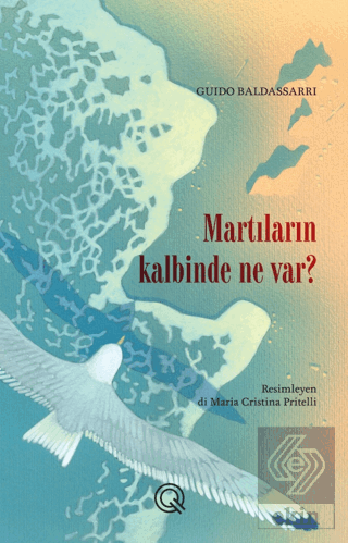 Martıların Kalbinde Ne Var?