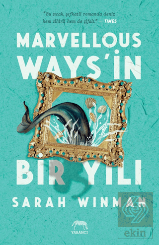 Marvellous Ways'in Bir Yılı