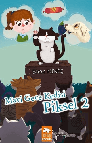 Mavi Gece Kedisi - Piksel 2