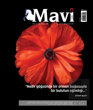 Mavi Gök Kültür Sanat Edebiyat Dergisi Sayı: 7 Mayıs - Haziran 2022