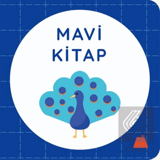 Mavi Kitap