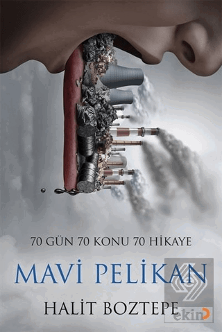 Mavi Pelikan