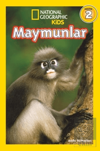 Maymunlar