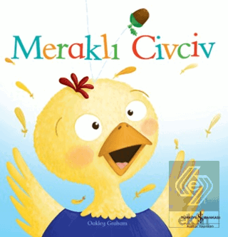 Meraklı Civciv