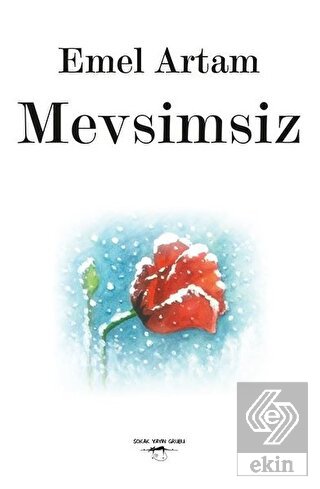 Mevsimsiz