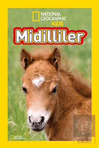 Midilliler - National Geographic Kids