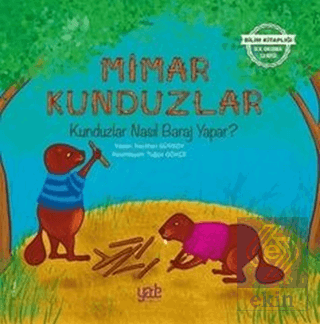 Mimar Kunduzlar