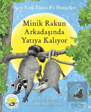 Minik Rakun Arkadaşında Yatıya Kalıyor