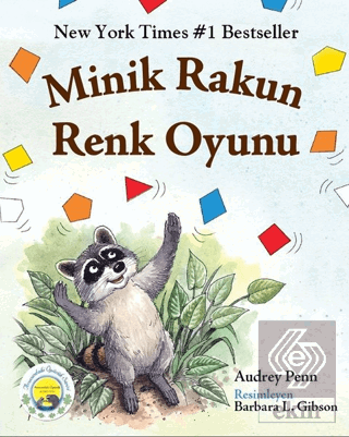 Minik Rakun Renk Oyunu