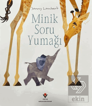 Minik Soru Yumağı