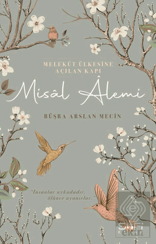 Misal Alemi